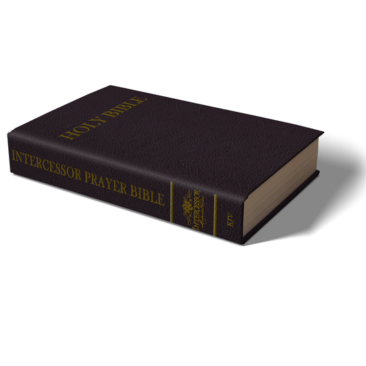 The Intercessor Prayer Bible